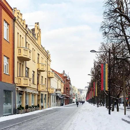 Laisves Ave. Mini Apartment Kaunas