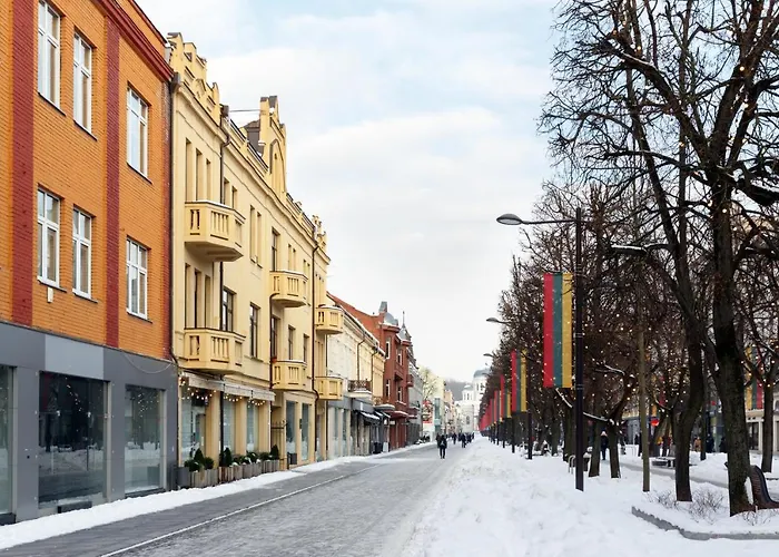 Laisves Ave. Mini Appartement Kaunas